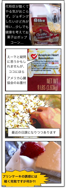 久しぶりに4コマ